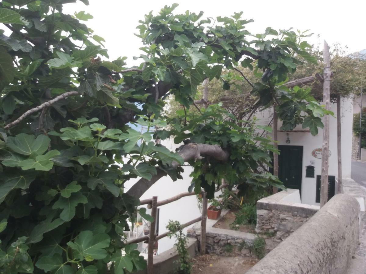 Casa Rosetta Villa Praiano Bagian luar foto