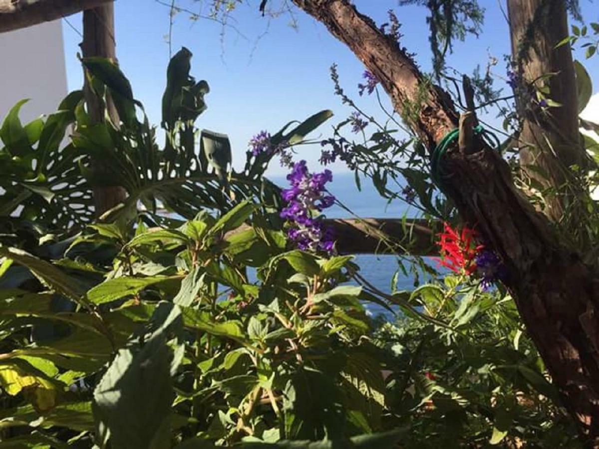 Casa Rosetta Villa Praiano Bagian luar foto