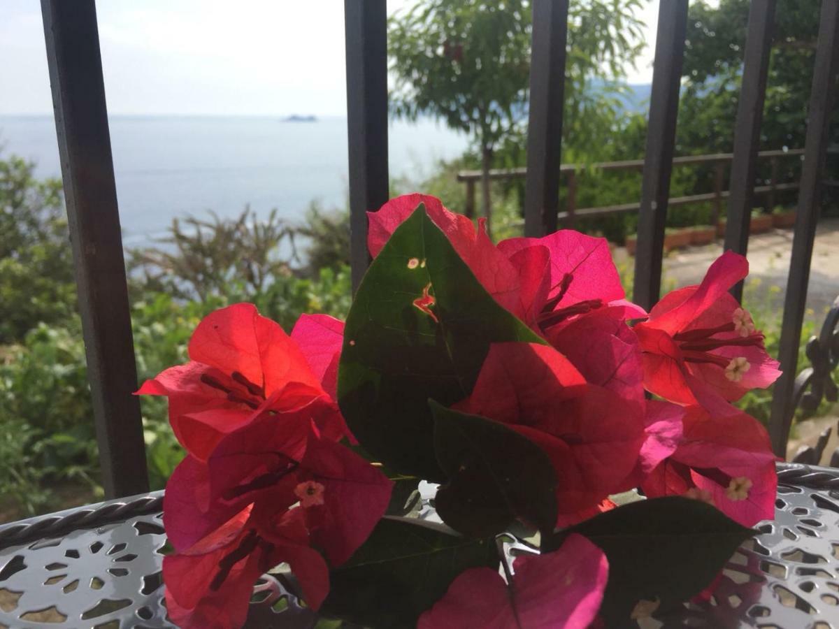 Casa Rosetta Villa Praiano Bagian luar foto
